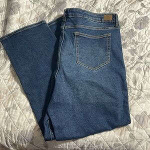 NWT Jordache high rise straight jeans